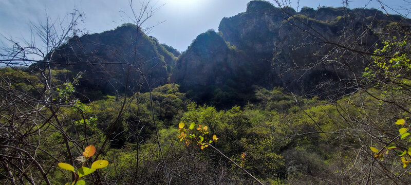青山