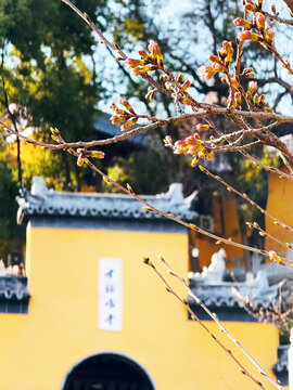 清华寺