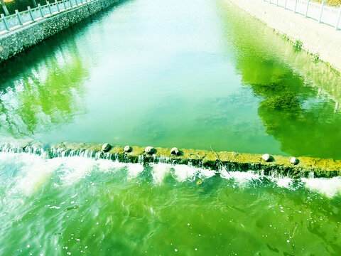 湿地