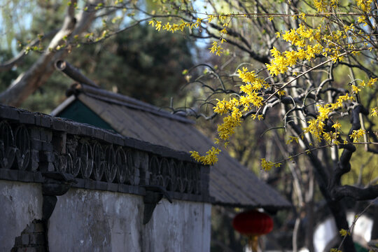 古建筑