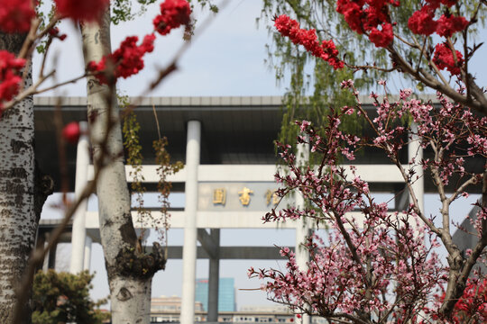 中国人民大学图书馆春天