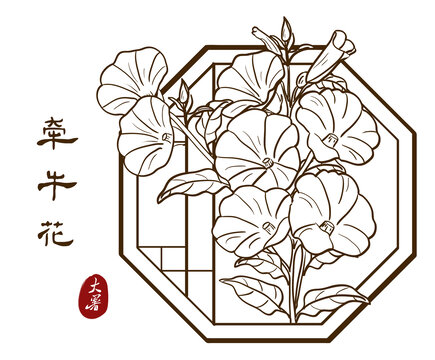 喇叭花线描