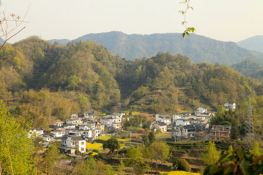 油菜花开的乡村