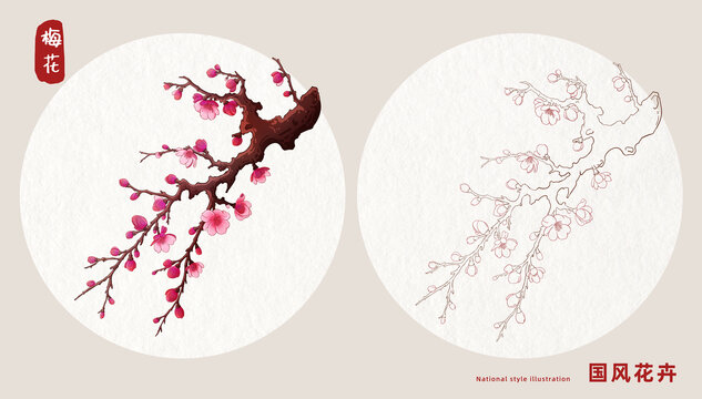 梅花插画