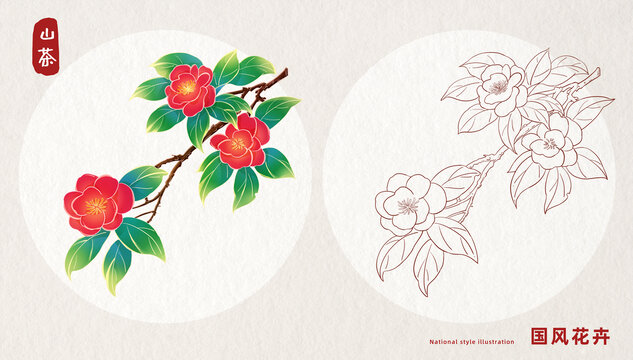 山茶花插画