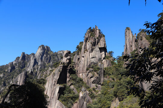 寿星