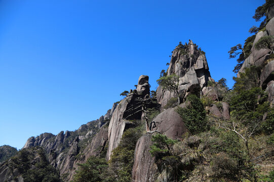 寿星