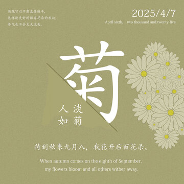 菊花