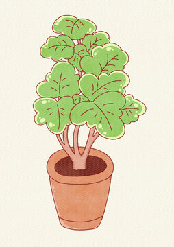盆栽绿植插画