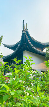 春天的扬州瘦西湖凉亭