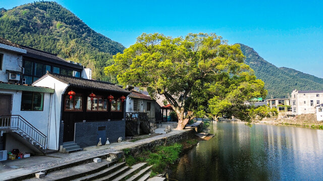 宁波中村景区