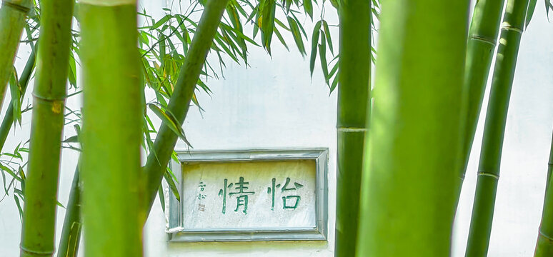 扬州个园绿竹怡情