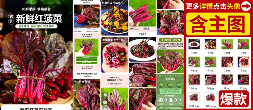 红菠菜详情