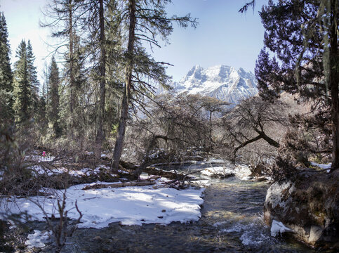 四姑娘山风景