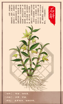 中草药石斛