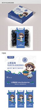 蓝莓瓦楞盒包装设计