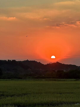 夕阳