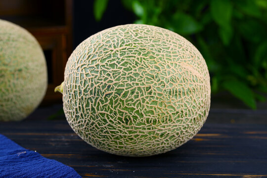 玫珑蜜瓜