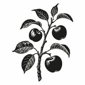 苹果插画底纹