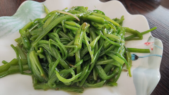 大理海菜