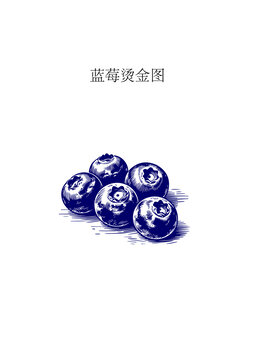 蓝莓烫金版