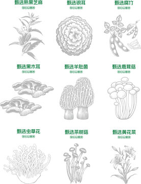食用菌