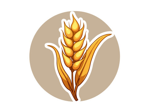 麦穗