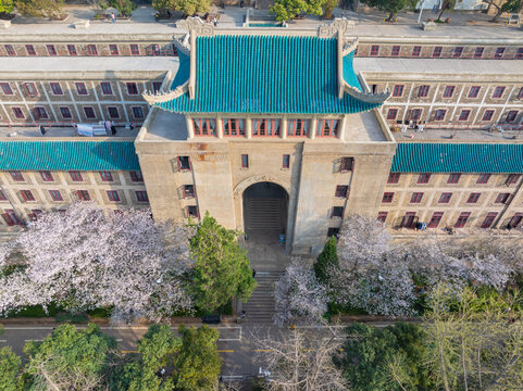 武汉大学春季樱花盛开