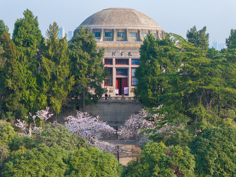 武汉大学春季樱花盛开