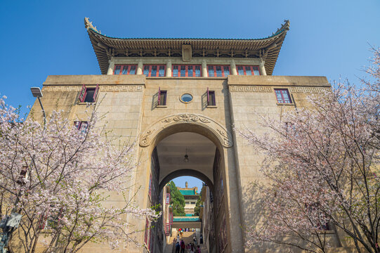 武汉大学春季樱花盛开