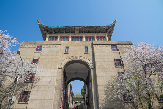 武汉大学春季樱花盛开