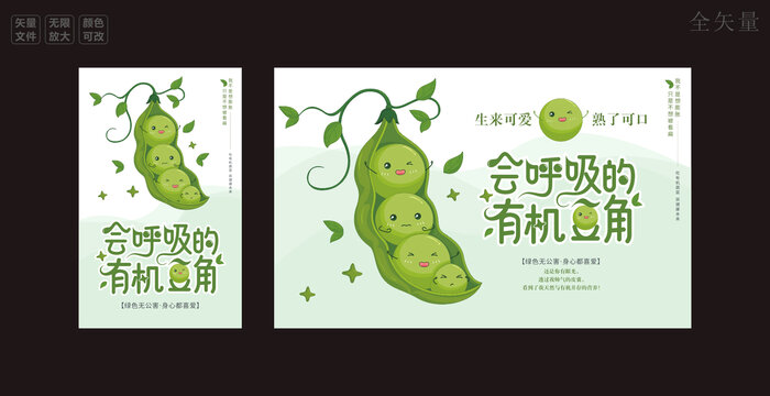豆角海报