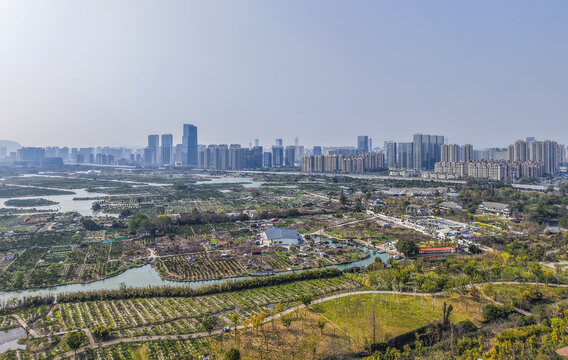 温州三垟湿地公园航拍