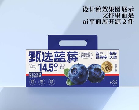 蓝莓包装设计源文件