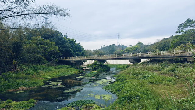 乡村小桥流水
