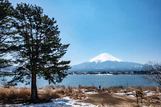 日本河口湖富士山积雪倒影旅游摄影大自然