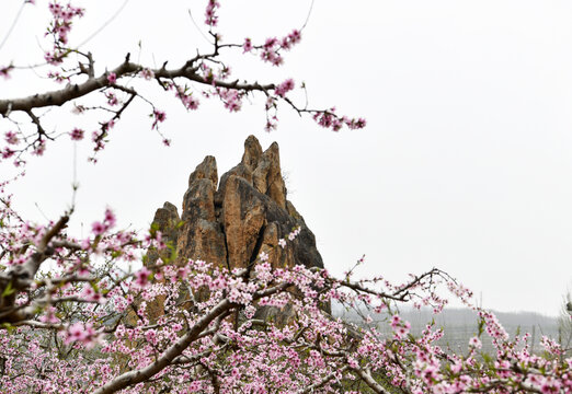 山东临沂平邑县丹山