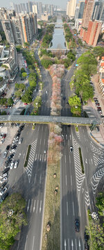 佛山市顺德区大良顺德新城兴顺路城市春色