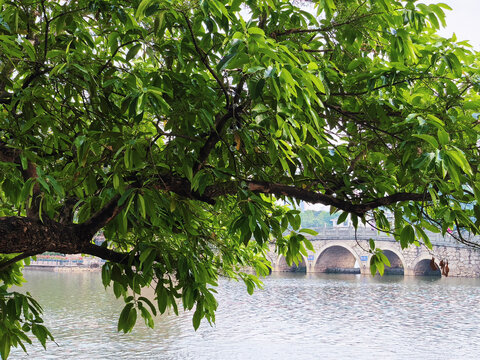 广州东山湖公园
