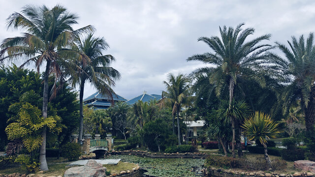 海滨度假村
