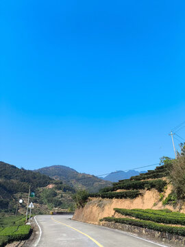 蓝天茶山道路