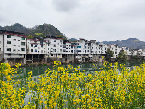 昌溪古村及小溪对面的油菜花