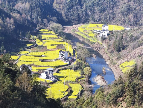 如油画版的皖南油菜花田