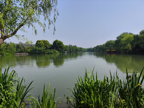 瘦西湖的湖水平静悠绿