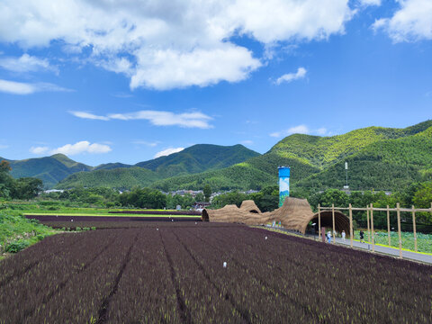 金山银山不如绿水青山的余村