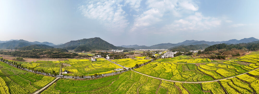 江西婺源江湾景区金色田园油菜花盛景