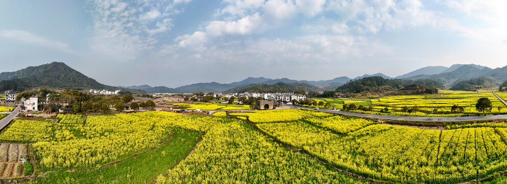 江西婺源江湾景区金色田园油菜花盛景