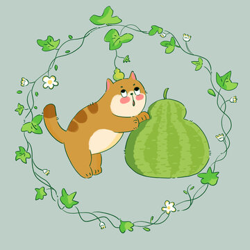 猫