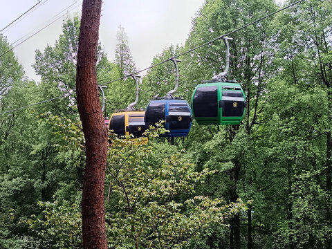 观光车