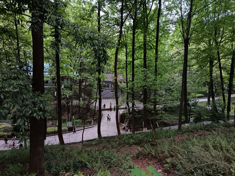 寺庙古刹